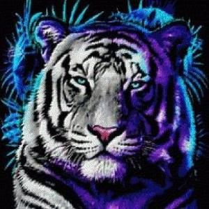 Meet your Posher, Raeshall